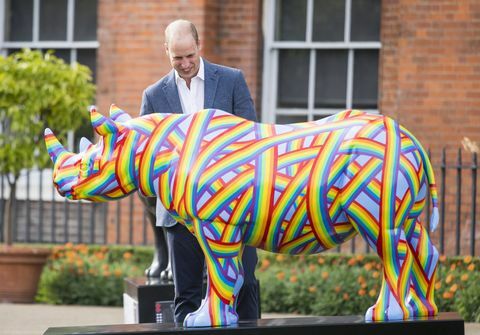 Cambridgen herttua osallistuu Tusk Rhino Trail -juhlaan