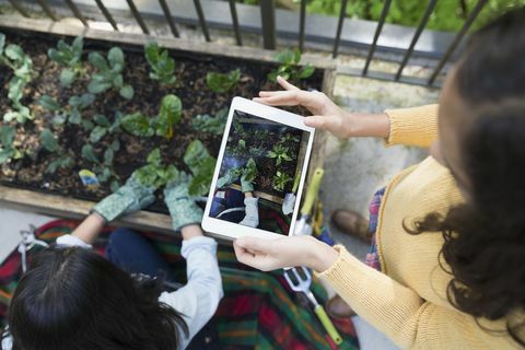 Ylhäältä tyttö digitaalinen tabletti valokuvaus äiti puutarhanhoito