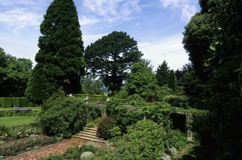 Yhdistynyt kuningaskunta 20050101 Iso-Britannia, Wales, Bodnant Garden kuva: wolfgang kaehlerlightrocket Getty Imagesin kautta