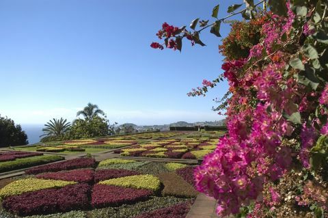 Kasvitieteellinen puutarha, Funchal, Madeira