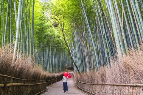 Nainen polulla bambumetsän läpi, Sagano, Japani