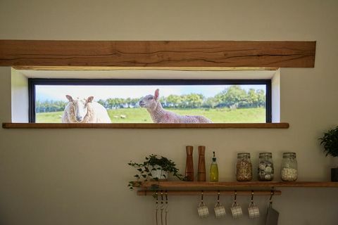 Ikkunanäkymä lampaista ulkopuolella