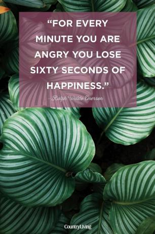 p " Jokainen vihainen minuutti menetät kuusikymmentä sekuntia onnellisuutta." p