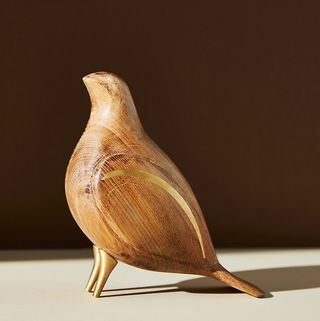 Oliivi lintu koristeena