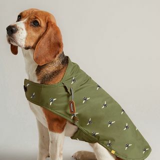 Oliivinvihreä vahattu koiran takki 