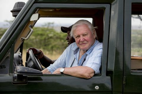 sir david attenborough kuvassa maasai marassa Keniassa kuvattaessa david attenborough'n elämää planeetallamme elokuva saa ensi-iltansa 16. huhtikuuta 2020, luotto keith scholey hopeaselkäisiä elokuvia