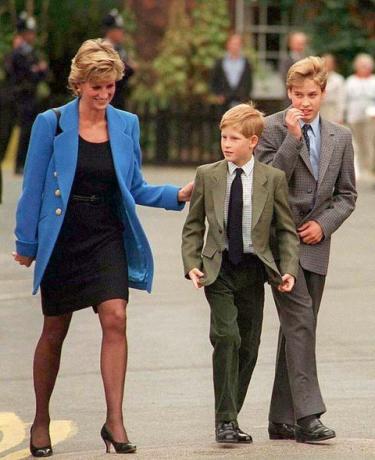 Prinssi William sanoo, että hän ja prinssi Harry antavat prinsessa Dianan alas ja eivät voineet suojella häntä BBC-dokumentissa