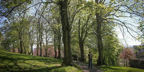 Mies kävelee polkua puistossa Brandon Hill, Bristol