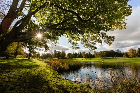 lydiard park on 260 hehtaarin maaseutupuisto Swindonin länsireunalla, jossa on palladiaanitalo, kirkko ja muurien aidattu puutarha entisessä kunnanvaltuusto ylläpitää historiallisen kartanon tonttia avoimena tilana, jonne on vapaa pääsy alueen asukkaille ja vierailijoille, swindon