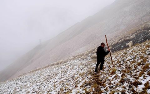 lammaslauma - jyrkkä - Abano Pass - Georgia - Amos Chapple / RFE / RL