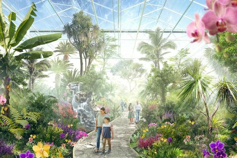 floriade 2022 kaikki mitä sinun tulee tietää puutarhafestivaalista