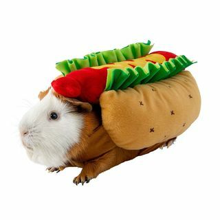 Hot Dog -asu