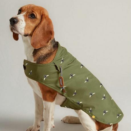 Oliivinvihreä vahattu koiran takki