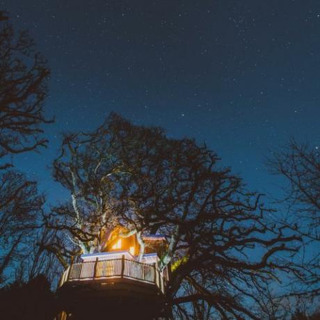 Treetops Treehouse - Devon - yö - katos ja tähdet