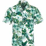 Havaijin paita