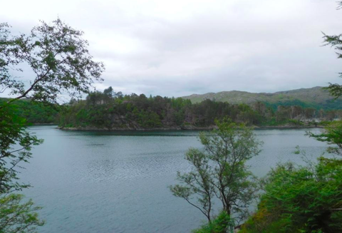 saari myytävänä Skotlannissa Deer Island