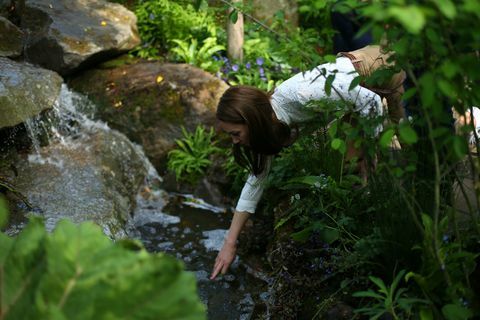 rhs chelsea -kukkashow 2019 lehdistöpäivä