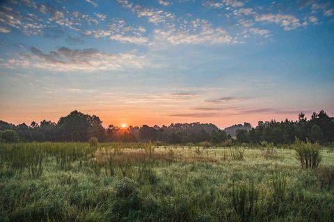 luonnonkaunein ajaa etelä-Carolinassa