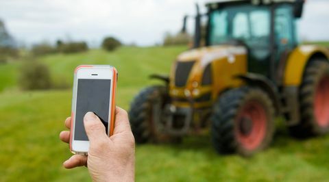Hallitus vaatii Brexitin jälkeistä digitaalistrategiaa maaseutuyrityksen perustamisen helpottamiseksi kuin koskaan
