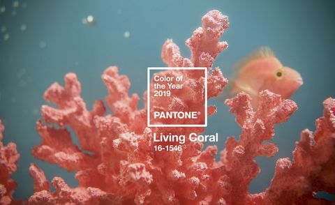 Vuoden Pantone-väri 2019 - elävä koralli