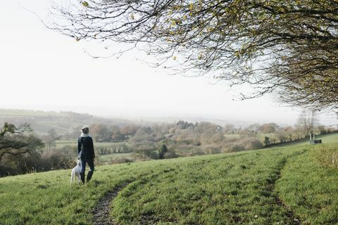Nainen kävelee koiran kanssa korkealla kentällä näkymät maaseudulle.