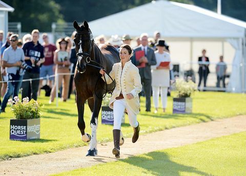 Burghley hevonen polkuja