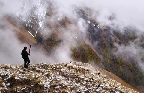 lammaslauma - lampaat - Abano Pass - Georgia - Amos Chapple / RFE / RL