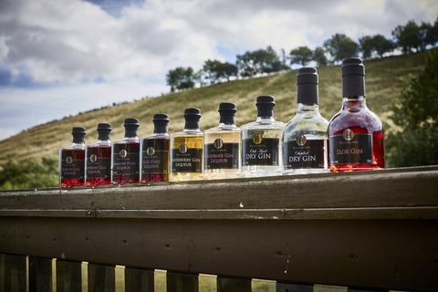 Raisthorpe Manor gin