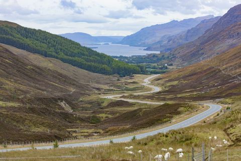 Iso-Britannia, Skotlanti, Cairngormsin kansallispuisto, Cairngormin vuoret, vaakasuora panoraamanäkymä kanervan tasangolle syksyllä vuoristoalueilla