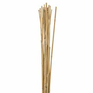 Bambu keppejä