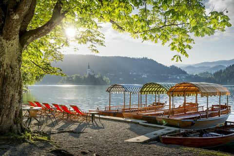 bled-järvi sloveniassa