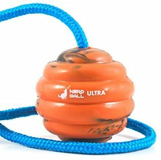 Nero Ball Ultra TM - Koiran koulutuspallo köydellä - liikunta- ja palkkiolelu koirille
