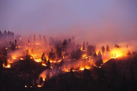 Metsäpalo, joka polttaa Montanan vuoren sivua.