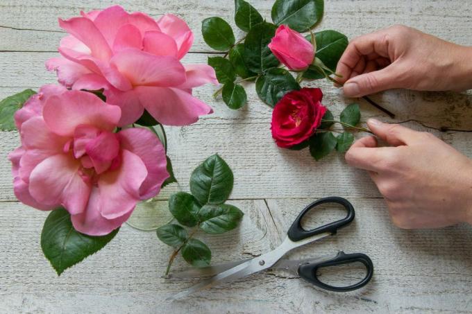 rajattu kuva kukkakauppiasta, jolla on ruusu ja kukkia pöydällä