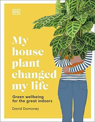 Kotikasvini muutti elämäni: Vihreää hyvinvointia sisätiloihin