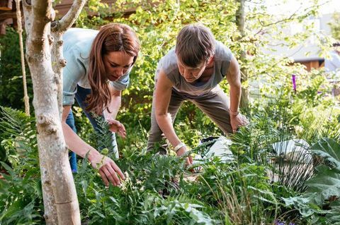 Kate Middleton Takaisin Nature Chelsea Flower Show puutarhaan 2019