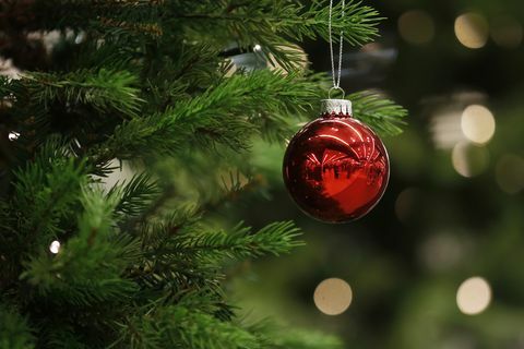 Joulun koru roikkuu puusta