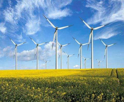 Ympäristöystävälliset tuuliturbiinit - uusiutuva energia - keltaisten kukien aloilla