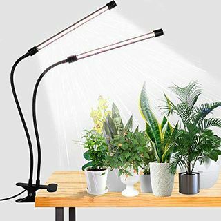 LED Grow Light