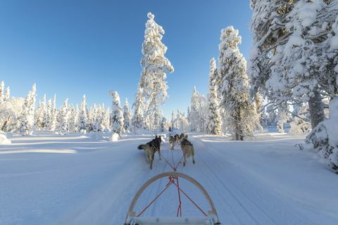 Ensimmäinen virtuaaliloma Lappiin