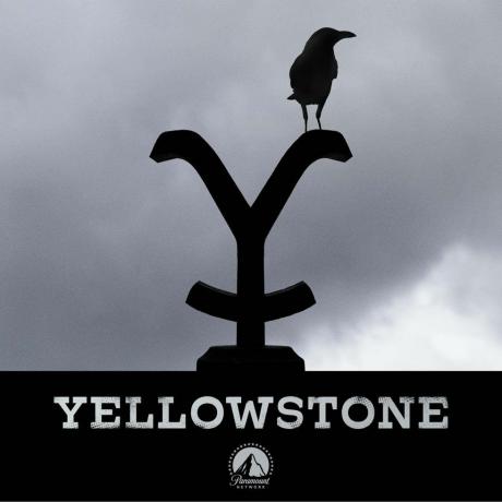 " Yellowstone" Peacockissa
