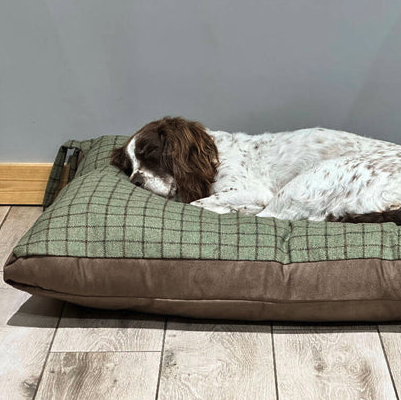 Suuri tweed-koiran sänky oliivissa