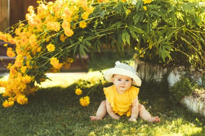 tyttövauva aurinkohatussa istuu puutarhassa suuren keltaisen kukkapensaan alla