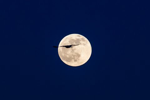harvinainen sininen kuu valaisee taivaan halloweenina