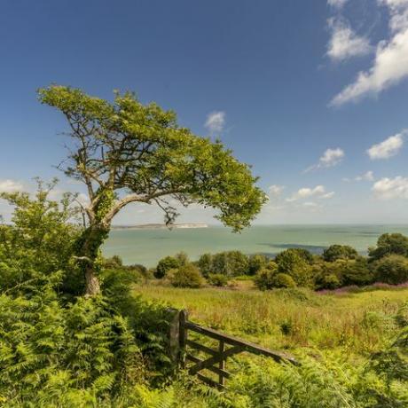 sandown bay, luccombe, shanklin, isle of wight kirkkaana kesäpäivänä