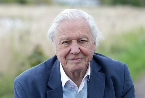 Sir David Attenborough -valokuva