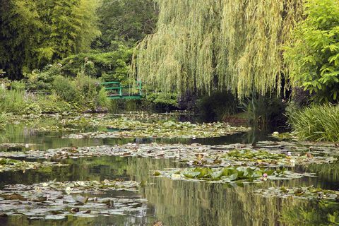 Monet'n puutarhan maisema, Giverny, Ranska