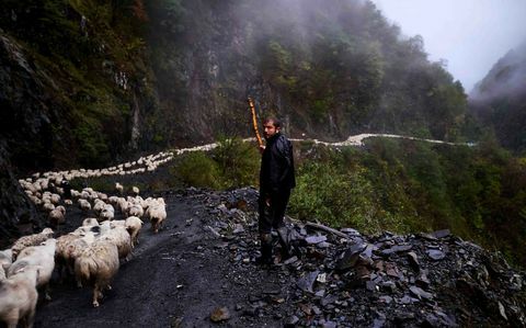 lammaslauma - sumu - Abano Pass - Georgia - Amos Chapple / RFE / RL