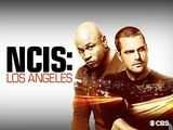 'NCIS: LA' -tähti Daniela Ruah vihjaa Martyn ja Kensin häät dramaattisesti