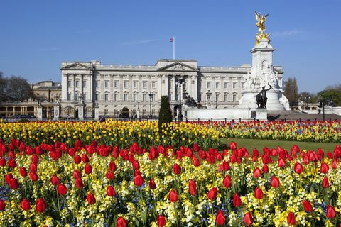 Buckinghamin palatsi